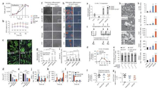 Human bone marrow MSCs and Human CD34+ cells cultured on MSC-derived ECM