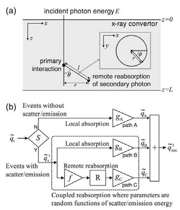 “포괄적인 반응” 모식도: (a) 입사 엑스선이 디텍터 내에서 반응 후 편각 Θ , 방위각 Φ에서의 산란선 발생, (b) 산란선에 의한 에너지 흡수 단계에 대한 병렬 모델