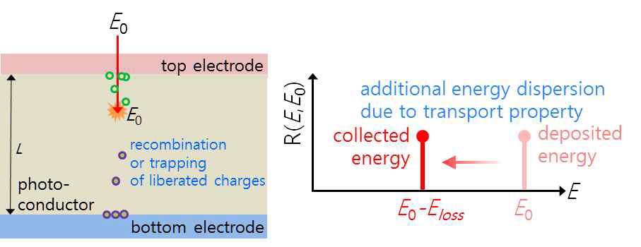 광도전체 내 발생하는 전하들의 재결합 혹은 잡힘에 따른 응답함수 변화