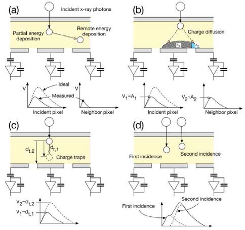 광자계수형 디텍터에서 발생하는 왜곡 요인. (a) fluorescence, (b) charge sharing, (c) charge trapping, (d) pulse pileup