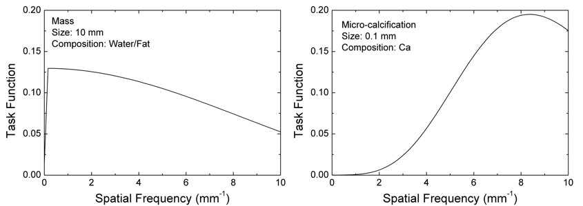 Mass 및 micro-calcification를 고려한 태스크 함수