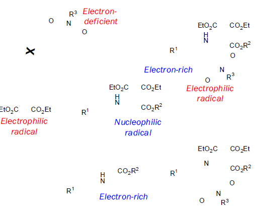 Tandem Radical Cyclization 을 통한 합성법 개요