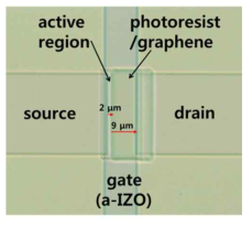 그래핀 전극을 갖는 fully transparent a-IGZO TFT의 현미경 사진. 그래핀의 경우 매우 투명하여 현미경 사진 상 에 잘 나타나지 않으므로, photoresist를 남겨 두어 구분하였음. 측정 실험에서는 photoresist는 remover를 이용하여 제거 하였다.