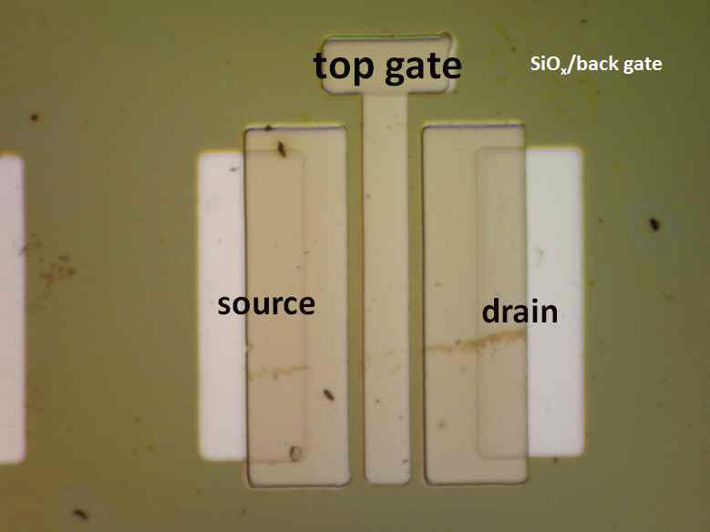 graphene top gate 및 n+ Si back gate를 갖는 a-IGZO TFT