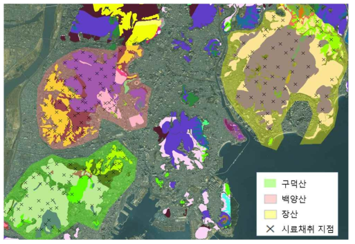 구덕산, 백양산, 장산의 시료채취 지점 및 각 산 내의 권역 분포 현황