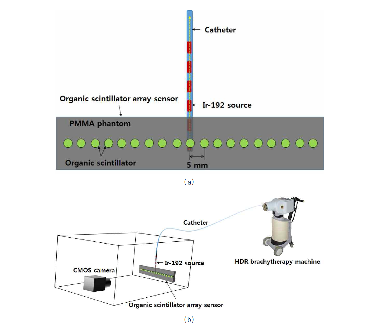 (a) 1차원 선량분포 측정용 센서의 구조, (b) 1차원 선량분포 측정용 센서를 이용한 Ir-192 방사선원의 가로축 선량분포 측정