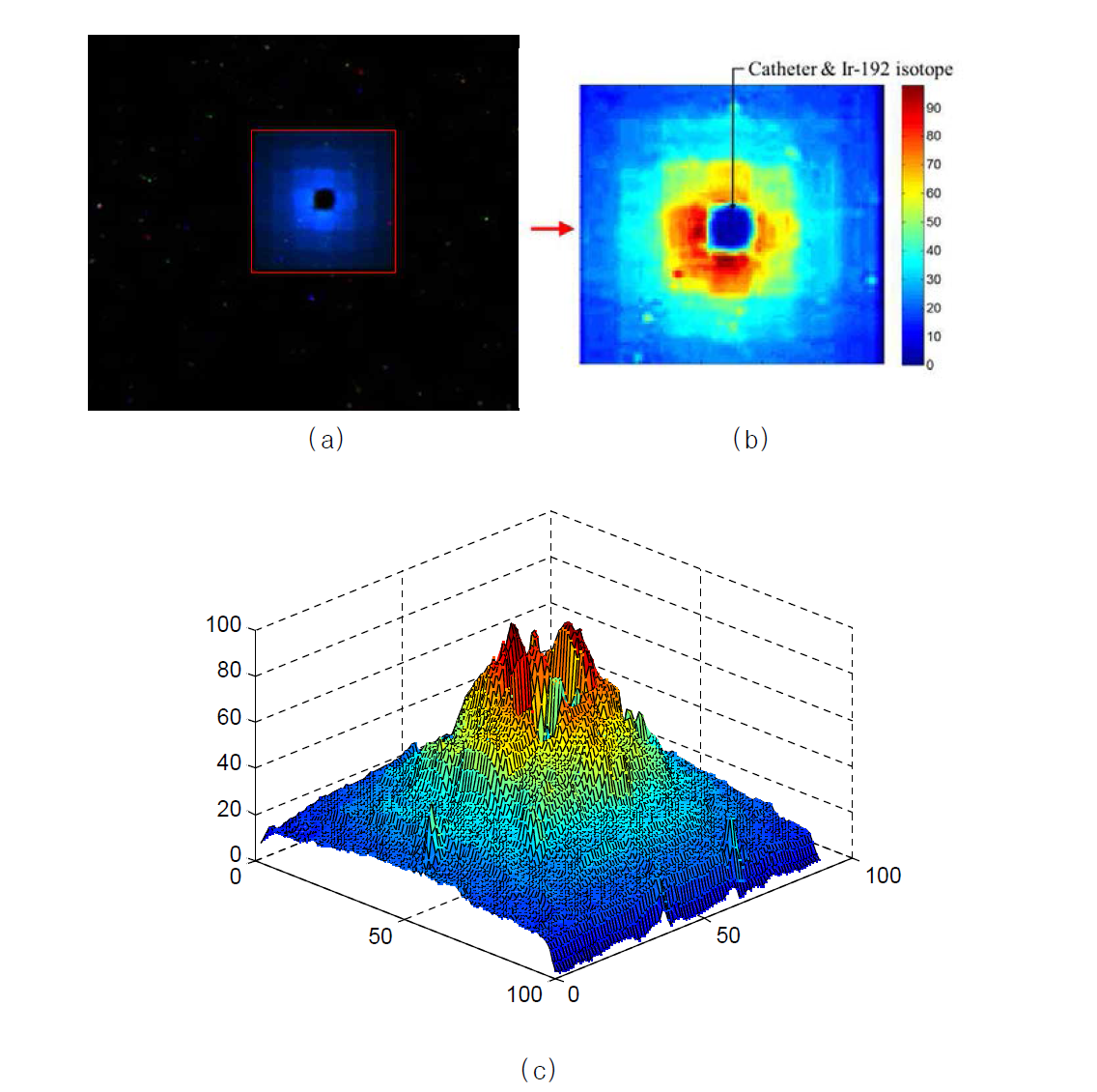 Ir-192 방사선원에 의해 유기섬광체 번들에서 발생된 (a)섬광영상 (b)2차원 (c)3차원 분석이미지