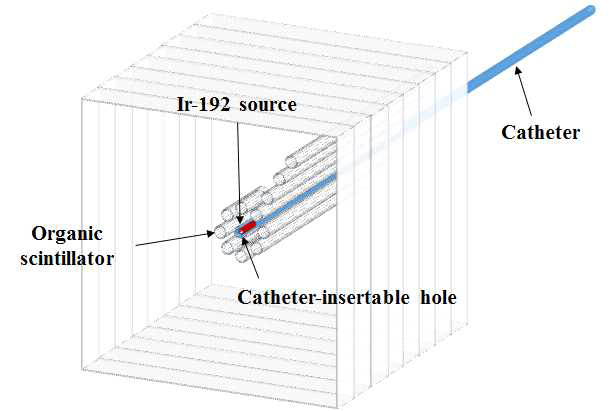 카테터 삽입형 팬텀 센서를 이용한 Ir-192 방사선원의 위치판별 및 선량분포 측정