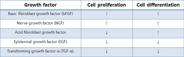 근육 및 신경 재생과 관련된 성장인자