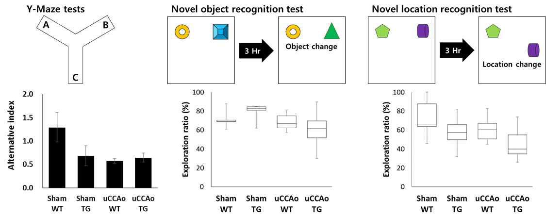 인지기능 측정을 위한 Y-maze와 novel location recognition 실험