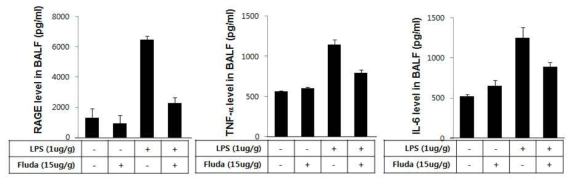 폐삼출물 내에서 염증성 사이토카인과 RAGE의 발현이 Fludarabine에 의해 조절 되었는지 확인함.