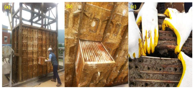 Photographs for MBR plant(a), membrane module(b) and sampling(c) from MBR biofouling layer.