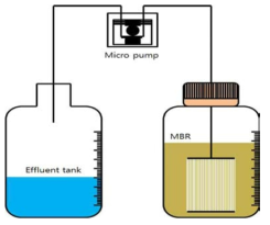 Schematic of submerged membrane bioreactor