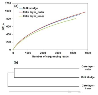Rarefaction curves (a) based on pyrosequences and unweighted pairgroup method with arithmetic mean (UPMGA) (b) of bacterial communities in bulk sludge and cake layers.