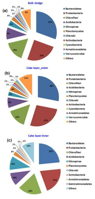 Phylum distribution of microbial populations in the MBR.