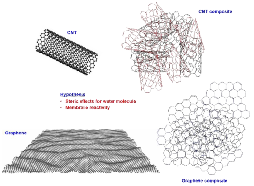 Hypothetic images of CNTs and graphene distribution in the polymeric matrixes