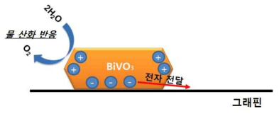 BiVO4-그래핀 복합체에서의 전자, 정공 전달 모식도