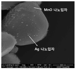 BiVO4 나노입자의 (010)면에 생성된 Ag나노입자와 (110)면에 생성된 MnO 나노입자의 전자현미경 사진