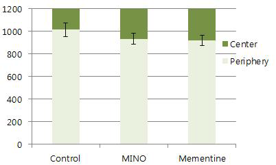 Minocycline 또는 mementine을 처치한 뇌경색 마우스 모델의 센터 (초록색) 또는 주위 (옅은 초록)에서 보낸 시간(sec)을 분석한 결 과.