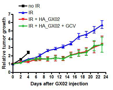 방사선이 조사된 Sarcoma에 HA(hyaluronic acid)와 혼합한 GX-02 중간엽 줄기세포를 주입하여 치료 효능을 관찰 한 그래프. 각 그룹마다 n = 8.