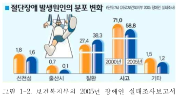 보건복지부의 2005년 장애인 실태조사보고서 의 사지절단 장애의 원인 조사.