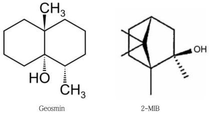 Geosmin과 2-MIB의 화학적 구조