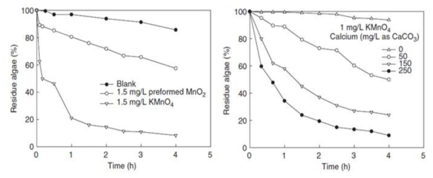 KMnO4와 MnO2 (좌), 수계 내 칼슘 농도(우)에 따른 조류 침전 결과