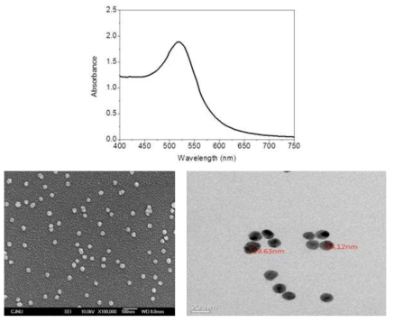 금나노입자 합성결과 분석