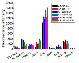 키토산(GC) 혹은 TCA가 결합된 키토산(GT50, 100)으로 코팅한 siRNA가 결합한 금나노입자의 경구투여 후 6시간, 12시간후의 각 장기의 형광세기