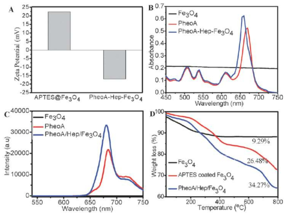 경구형 금속나노입자의 Zeta potential, UV-vis spectroscopy, Fluorescence, TGA 분석 결과