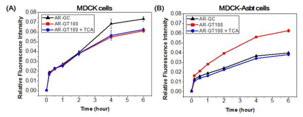 담즙산의 약물 흡수를 mechanism 확인을 위한 Asbt receptor 과 발현 세포의 약물 흡수 그래프