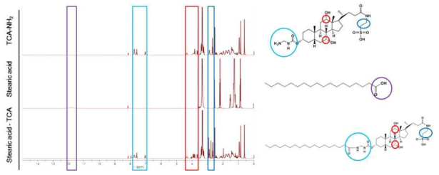 TCA가 결합된 liposome제조를 위해 Stearic acid와 TCA의 결합 및 H-NMR을 통한 결합여부 확인 그래프