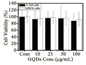 그래핀 양자점의 A-549세포와 DMCK세포에서의 세포 독성시험