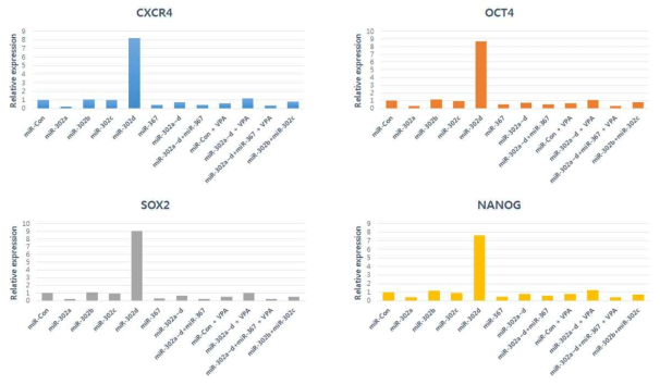 Real-time PCR을 이용한 miR-302 family의 transfection에 의한 전분화능 마커의 발현