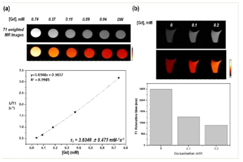(a)리포좀의 MR 특성, (b) 리포좀이 라벨링된 중간엽 줄기세포의 MR 스캔 이미지 및 그에 따른 relaxation time의 변화