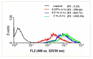 제조된 리포좀으로 라벨링된 중간엽 줄기세포의 유세포 분석 결과