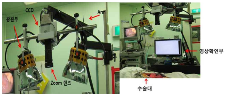 중, 대동물 대상 intraoperative stem cell therapy 영상화를 위한 이미징 시스템