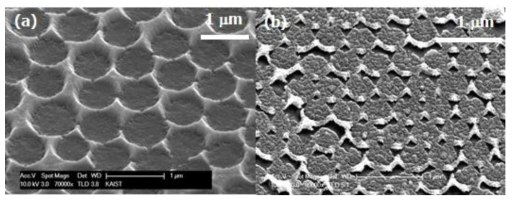 SEM image after PS removal(a) and Cr etching (b)