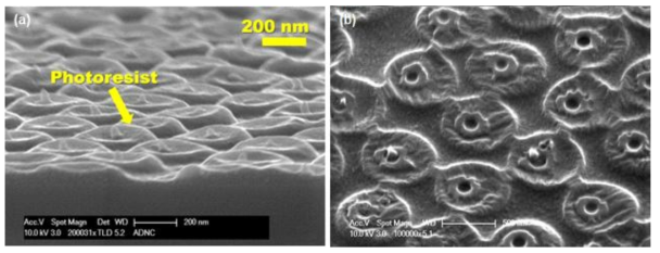 SEM image of fabrication result using 460 nm(a) and 800 nm(b) Al nanodot structure