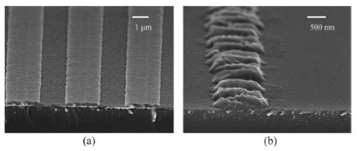 (a)하부 PR 위의 알루미늄 격자 구조의 SEM(scanning electron microscopy) 사진, (b)표면 플라즈몬 리소그래피의 결과 SEM 사진