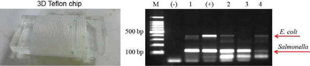 3D 테프론 칩 모식도 및 식중독균 2종에 대한 PCR후 전기영동 이미지