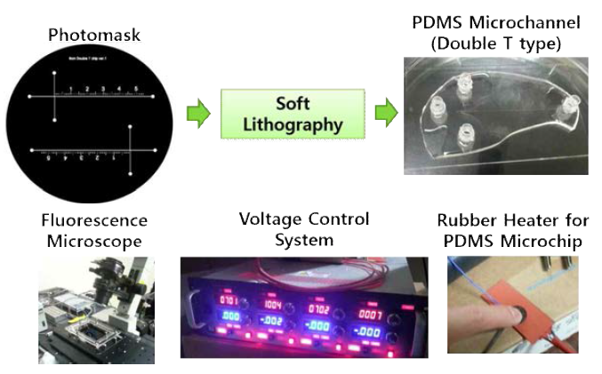 PDMS microchannel 제작 및 분석 환경 구축