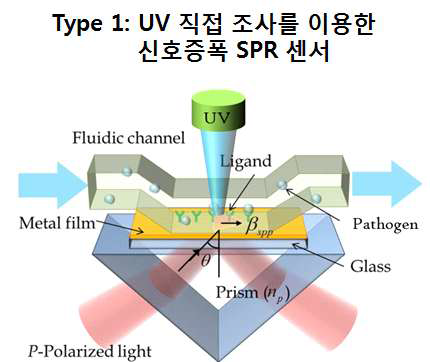 UV의 직접 조사를 이용한 신호증폭 SPR 센서 시스템 모식도