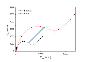RCA 기반 등온 핵산 증폭에 대한 end-point 방식의 임피던스 측정 결과