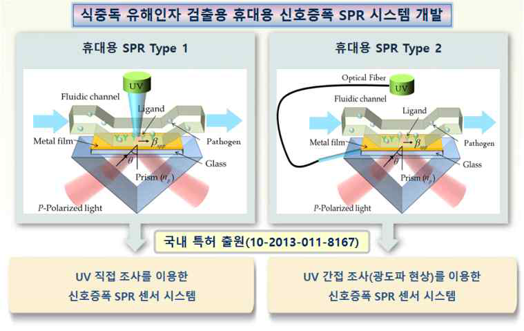SPR Type 1, 2 시스템 모식도
