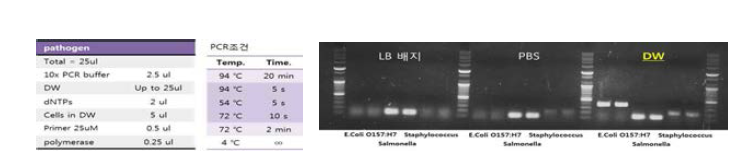 버퍼의 종류에 따른 PCR 효율 평가 조건(좌)과 결과(우)
