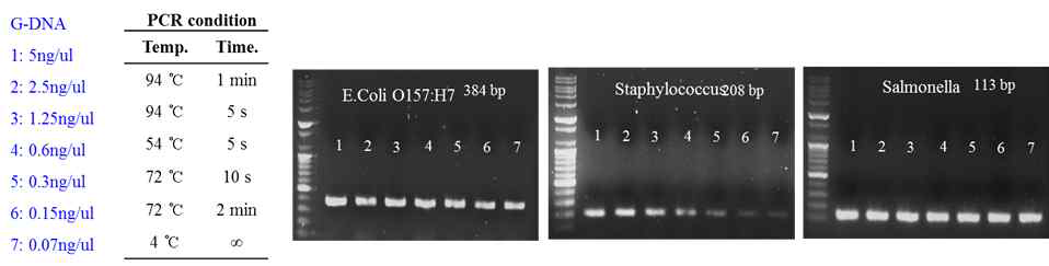 G-DNA의 농도에 따른 PCR 한계 평가 조건(좌)과 결과(우)