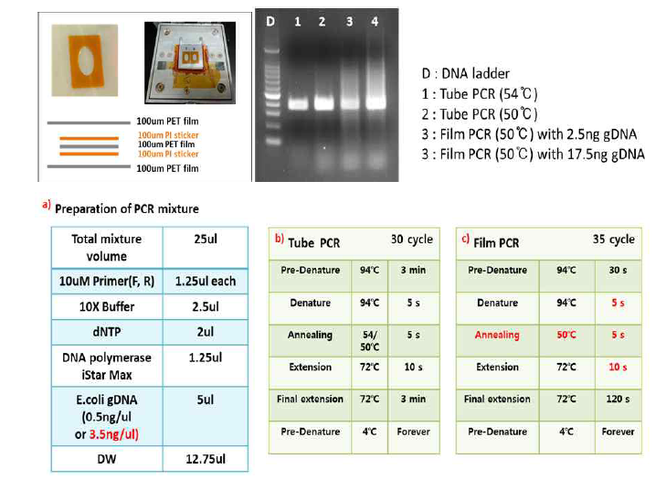 적층형 필름챔버를 이용한 PCR 평가 조건(아래)과 결과(위)