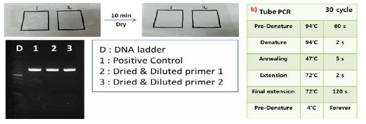 필름위에 건조된 Primer를 이용한 PCR 평가