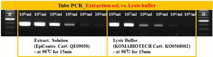 유전자 추출효율 비교 (Extraction solution from EpiCentre vs. Lysis buffer from KOMABIOTECH)